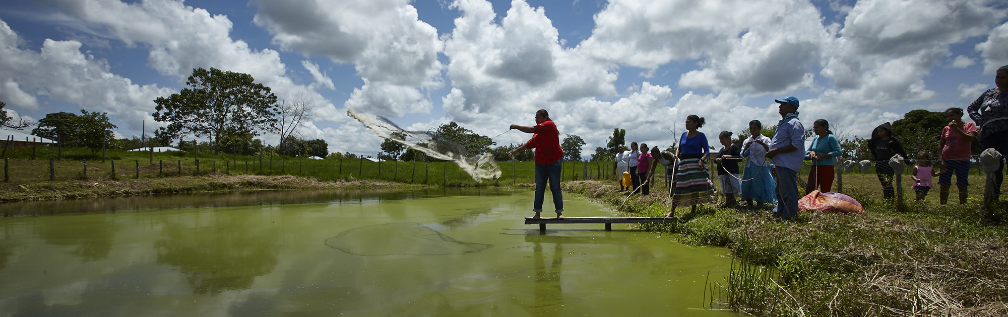 A person casts a net into water from a dock.