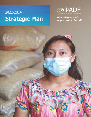 Strategic Plan cover