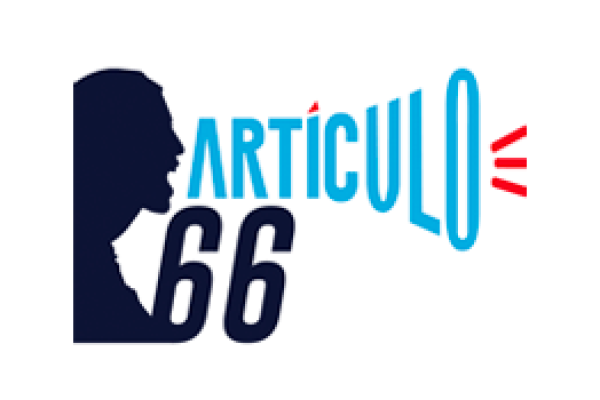 Artículo 66
